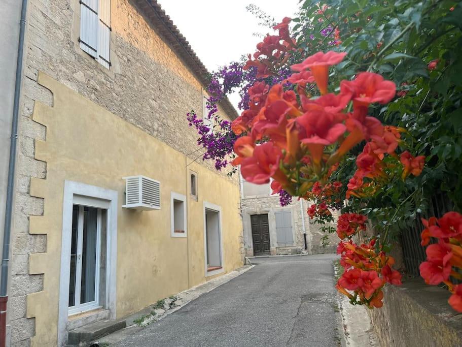 La Cave A Pape Apartment Peyriac-de-Mer